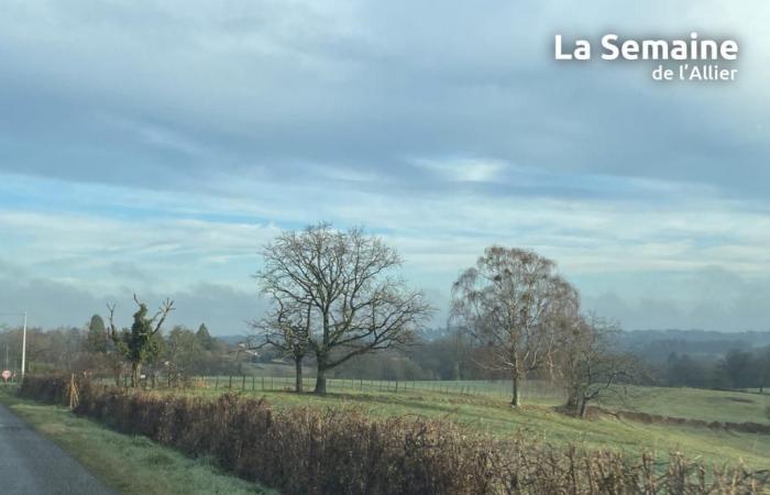 Allier (météo) – Quel temps fera-t-il le vendredi 24 janvier 2025 ?