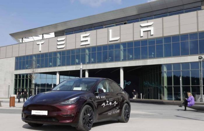 Sur vidéo | Le salut controversé de Musk projeté sur son usine de Tesla en Allemagne