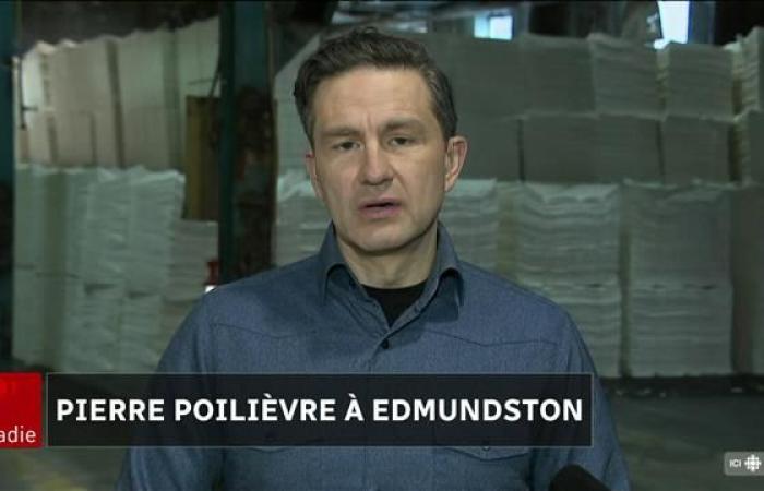 Pierre Poilièvre promet aux néo-Brunswickois de « tenir tête » face à Donald Trump