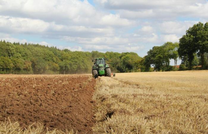 un fils écrase mortellement sa mère avec un tracteur avant de se suicider