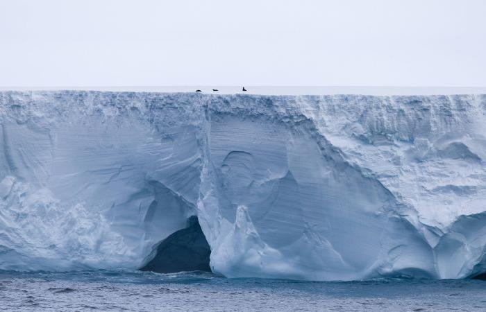 Craintes que le plus gros iceberg du monde ne frappe une île de l’Atlantique Sud