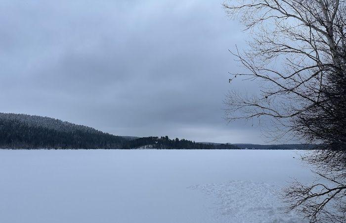 Un projet immobilier sur un terrain bordant un lac suscite l’indignation