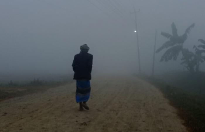 Brouillard dans le Terai, possibilité de pluie à Sudurpaschim – myRepublica – The New York Times Partner, Dernières nouvelles du Népal en anglais, Derniers articles d’actualité