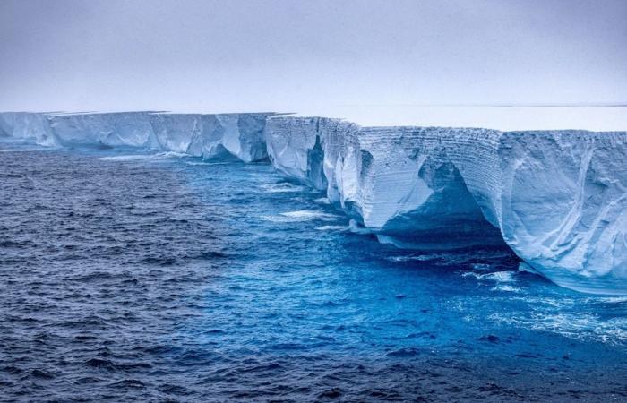 Le plus gros iceberg A23a du monde dérive vers une île peuplée de manchots