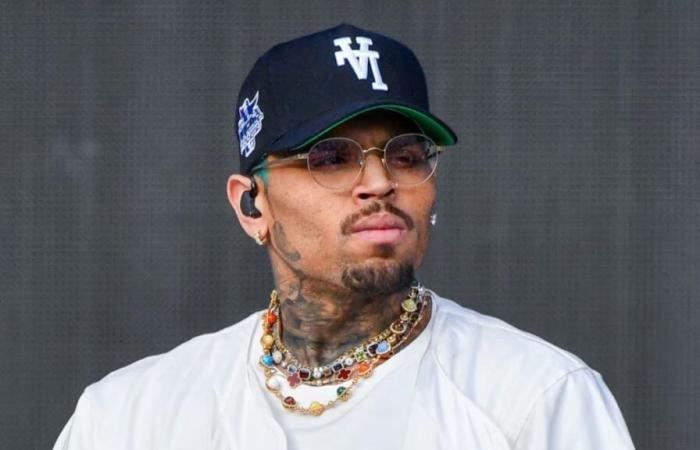 Le chanteur Chris Brown demande 500 millions de dollars à Warner Bros pour un documentaire