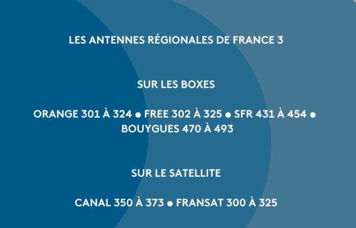 Les défis sportifs en février sur les chaînes régionales de France Télévisions