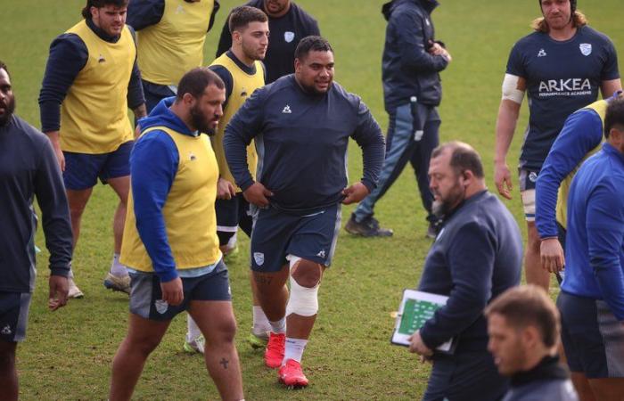 XV de France. Top 14 – Tevita Tatafu, qui a repris l’entraînement avec Bayonne, a « de bonnes chances » d’être remplaçant à Perpignan samedi