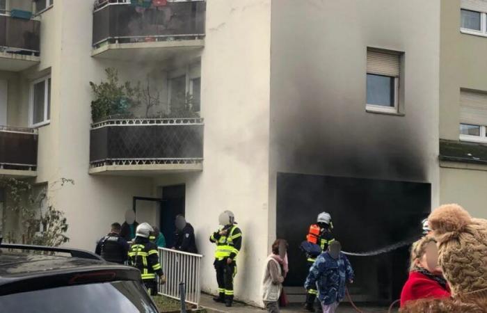 Mulhouse. Incendie dans la salle des poubelles d’un immeuble de sept étages