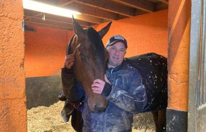 Entraîneur majeur dans l’Orne, Sébastien Guarato vise le top 5 du Prix d’Amérique dimanche à Vincennes