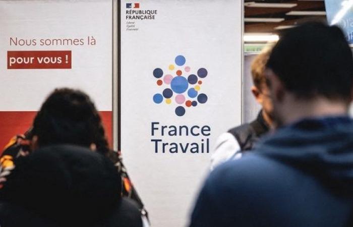 Réforme du travail en France : conseils aux demandeurs d’emploi