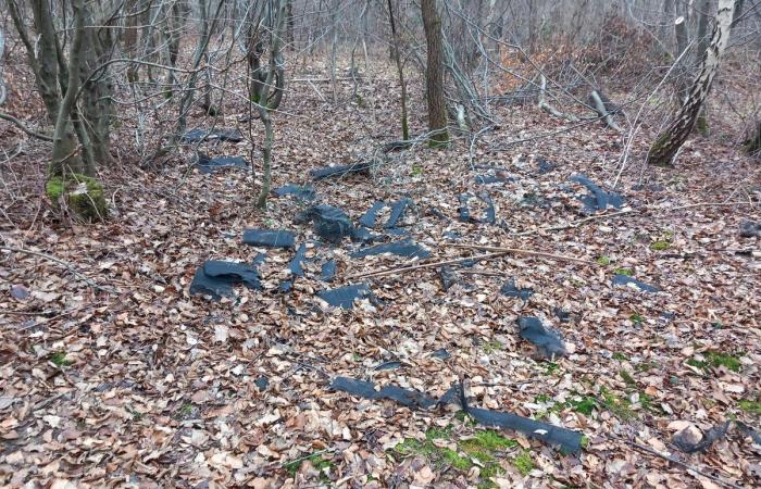 Des tonnes de plastique polluent les forêts des Yvelines