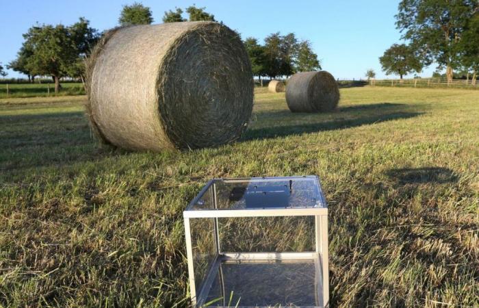 vont-ils renverser la table ?