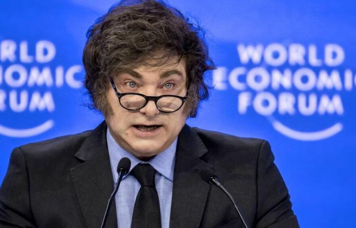 Milei dénonce le « cancer réveillé » à Davos et défend le geste de Musk