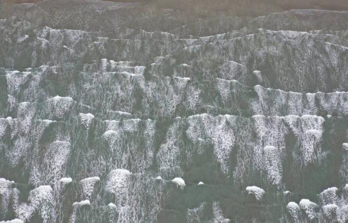 Un peu plus de bicarbonate dans l’océan, et le réchauffement climatique vous fera bégayer ?