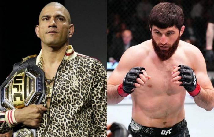 Magomed Ankalaev: L’ex-star de l’UFC prédit la frappe de signature d’Alex Pereira pourrait épeler le destin d’Ankalaev à l’UFC 313: “Il ne pouvait plus marcher”