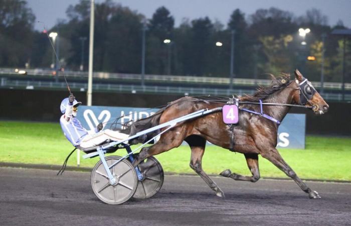 Prix ​​Luxembourg, le nouvel essai de Gaspar d’Angis derrière la voiture