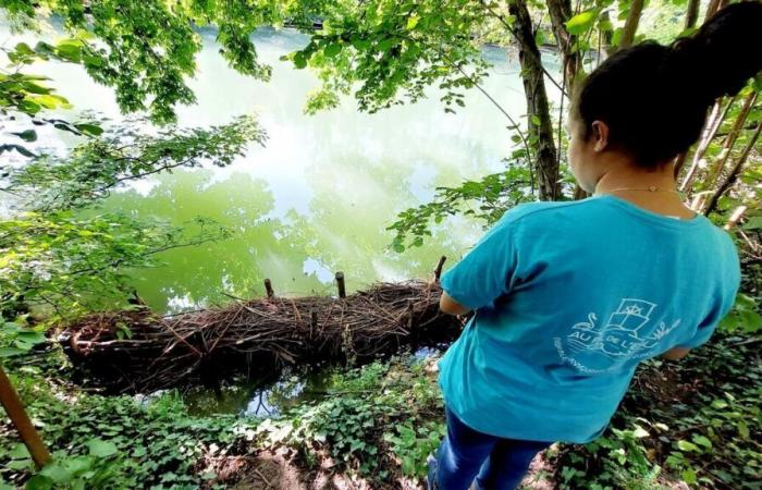 pollution importante sur la Marne à Nogent