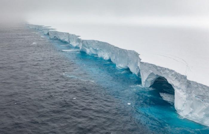 Pingouins, phoques… Le plus grand iceberg du monde se dirige droit vers une île, sa faune menacée