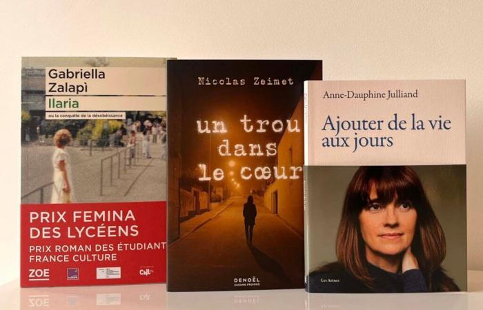 Les 3 nouveaux livres qui rejoignent la sélection (4/8)