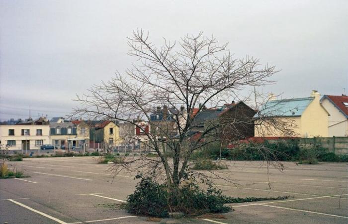 A Paris, une exposition gratuite dévoile les paysages de Kate Barry