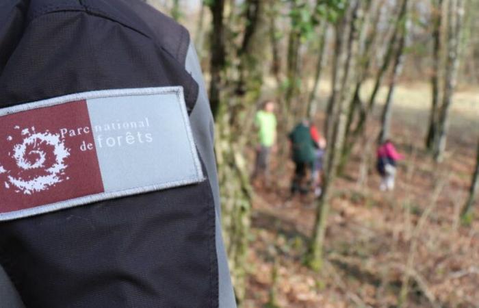 Côte-d’Or et Haute-Marne. Les cinq résolutions du Parc National Forestier pour la nouvelle année