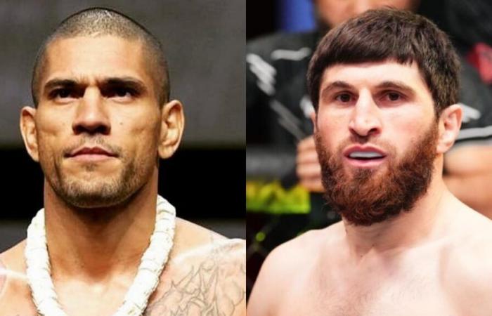 UFC 313 – Alex Pereira contre Alex Pereira Magomed Ankalaev : Les chances sont serrées