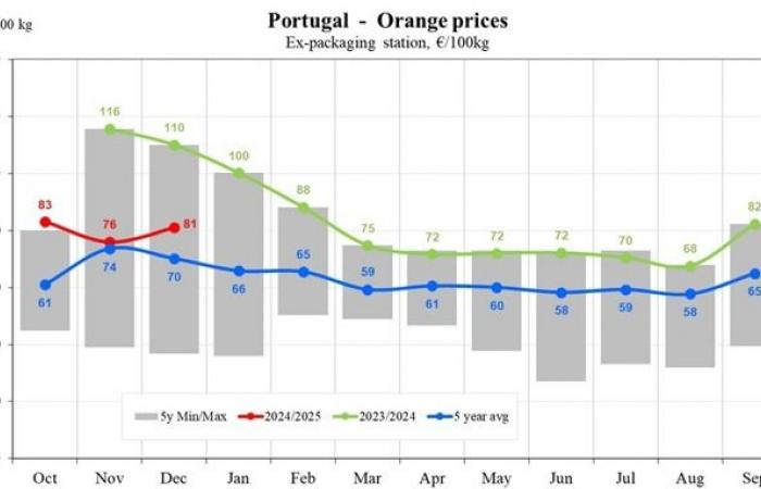 Les prix des oranges chutent à 48 €/100 kg en Europe du Sud pour la saison 2024/2025