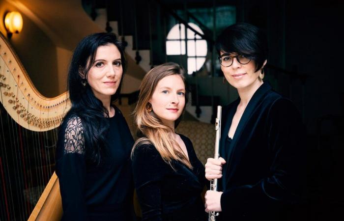 Le Trio Haydee en concert au Musée d’Orsay