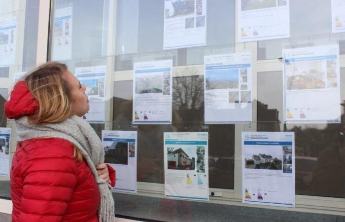 « Les stocks ont doublé, les acheteurs ont l’embarras du choix »