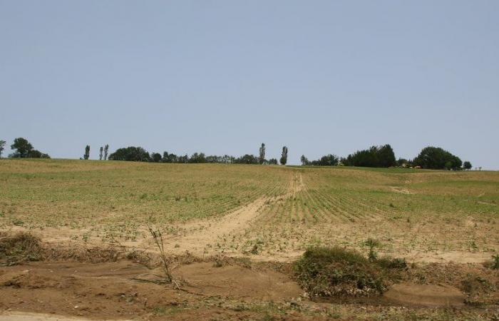 compensation pour perte de fonds due à des catastrophes agricoles