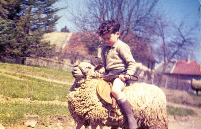 « La finale tournante de Dublin, en 1982, m’a prouvé que j’étais capable de monter n’importe quel cheval », Michel Robert