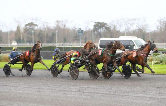 Samedi à Vincennes – Prix Ourasi (Gr. I) : Une revanche explosive