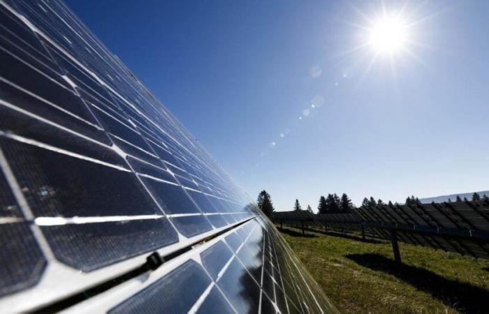 L’énergie solaire supplante le charbon pour la première fois dans l’UE en 2024