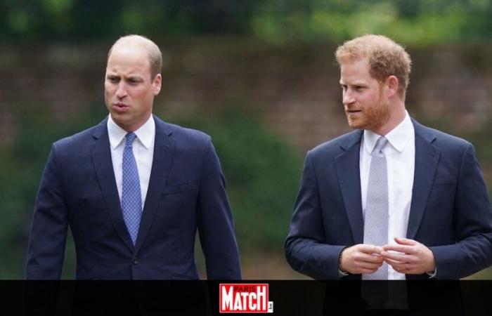 la complicité entre les princes Harry et William devient virale