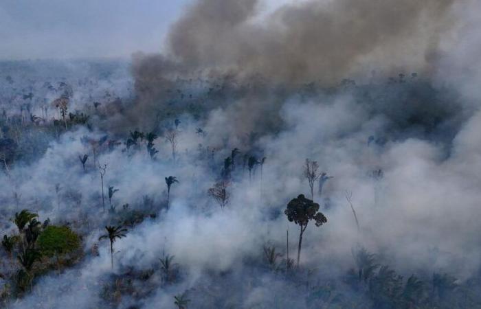 pourquoi l’année 2024 a été catastrophique