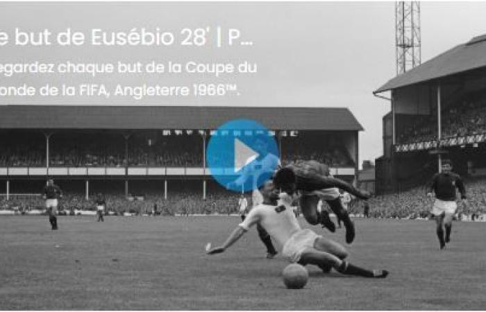 Les rois des Rontadas en Coupe du Monde