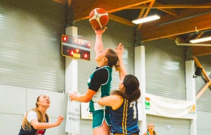 Basket-ball (Trophée Coupe de France). L’AS Saint-Delphin veut aller plus loin