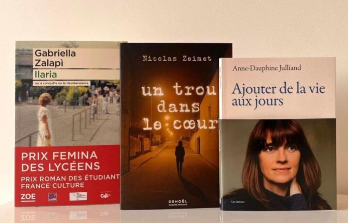 les 3 nouveaux livres rejoignant la sélection (4/8)