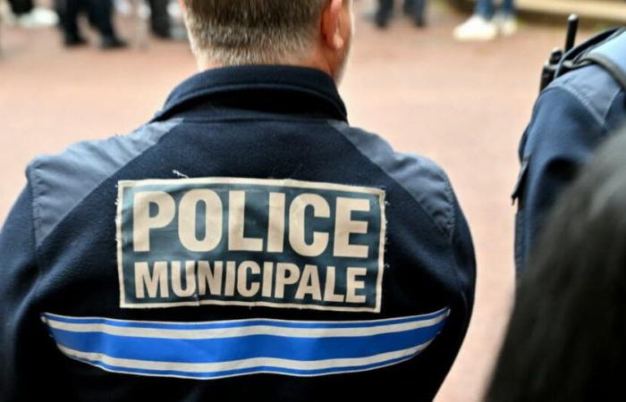 Métropole de Lyon. Un homme armé interpellé dans le métro de Vaulx-en-Velin