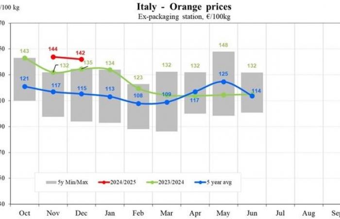 Les prix des oranges chutent à 48 €/100 kg en Europe du Sud pour la saison 2024/2025