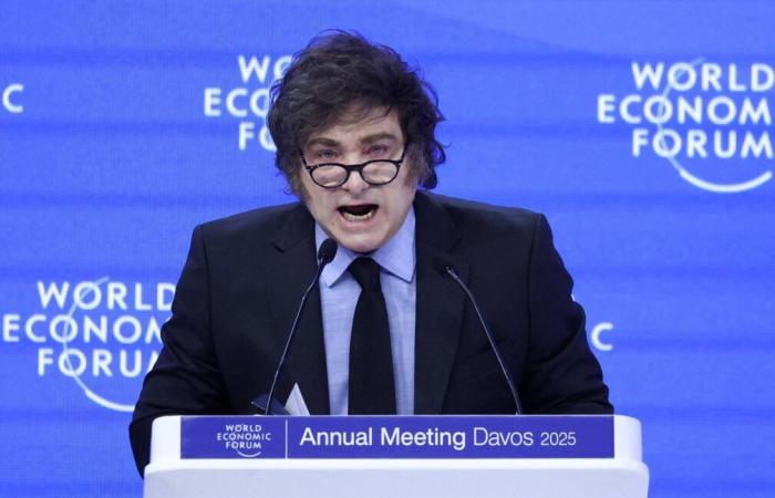 A Davos, l’Argentin Milei dénonce « l’agenda socialiste » qui gangrène l’Occident