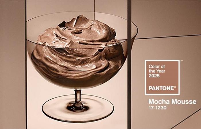 « Moka Mousse » sera la couleur de l’année