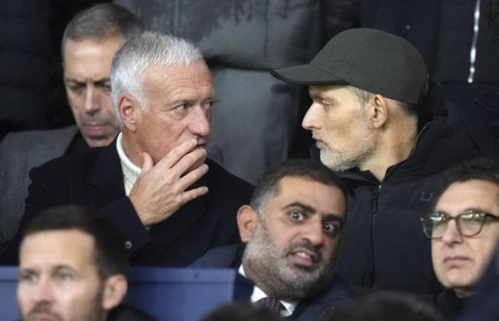 Deschamps, Riner, Guetta… Du beau monde dans les tribunes pour assister à la victoire du PSG