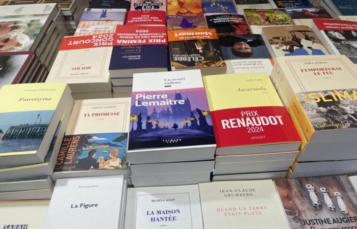 En résistance contre la surproduction littéraire, ces libraires parisiens mettent un terme aux nouveautés