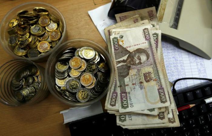 Le shilling kenyan s’est légèrement renforcé par rapport au dollar, selon les données du LSEG -22 janvier 2025 à 11h10