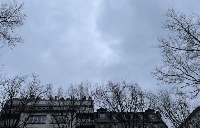 Bulletin météo. Quelle météo dans les Hauts-de-France pour ce samedi 25 janvier ?