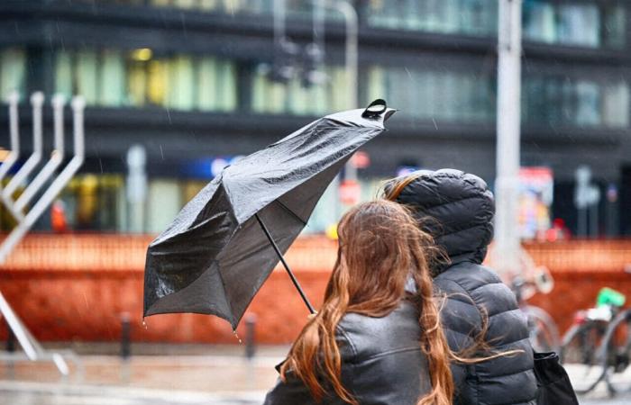 Eowyn Storm, viol d’un adolescent, vigilance sur l’A13… l’information à midi dans l’île-de-France