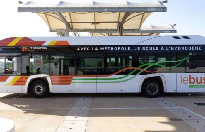 Un chauffeur de bus a violemment agressé hier soir à Marseille