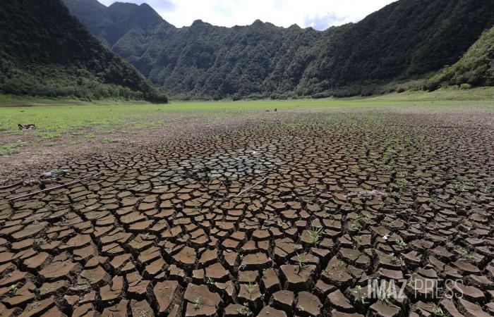 Coupes d’eau, mayotte, pesticides, airbags et sécheresse