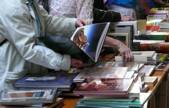 une vente de BD et de livres… à seulement un euro le kilo